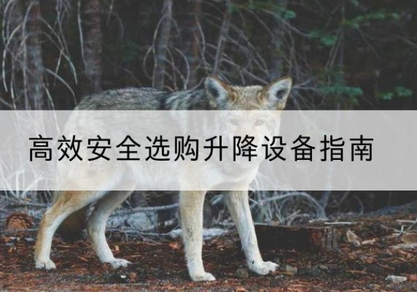 桂林升降货梯厂家推荐-*安全选购升降设备指南