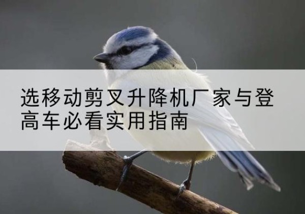 桂林电动升降机厂家-选移动剪叉升降机厂家与登高车必看实用指南