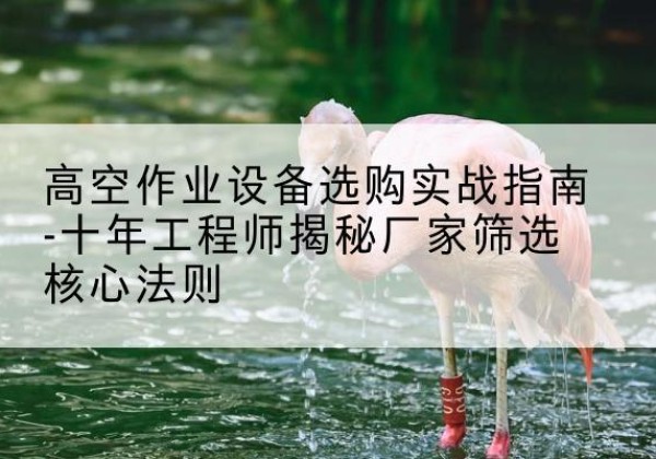 桂林剪叉式升降机厂家-高空作业设备选购实战指南-十年工程师揭秘厂家筛选核心法则